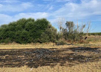 Vecinos de Nava de Sotrobal sorprende a unos cacos quemando cable para extraer el cobre tras dejar sin internet a la localidad