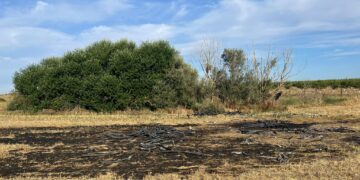 Vecinos de Nava de Sotrobal sorprende a unos cacos quemando cable para extraer el cobre tras dejar sin internet a la localidad