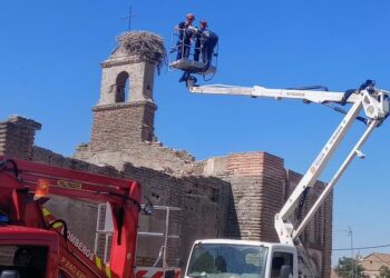 Los Bomberos liberan un pollo de cigüeña enganchado en un nido en la ermita mudéjar de la Vera Cruz en Cantaracillo