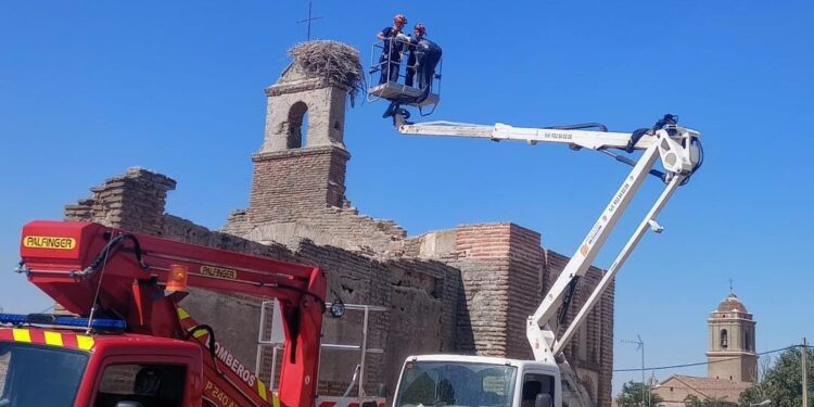 Los Bomberos liberan un pollo de cigüeña enganchado en un nido en la ermita mudéjar de la Vera Cruz en Cantaracillo