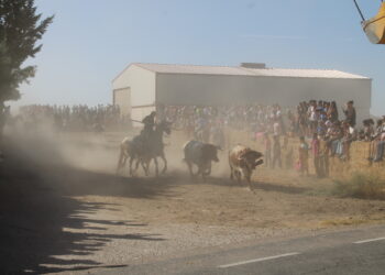 Macotera celebra un concurrido encierro a caballo con cientos de aficionados repartidos en el recorrido hasta la plaza de toros
