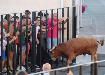 Palaciosrubios enfila hoy la recta final de unas fiestas con una gran participación en todas las actividades programadas
