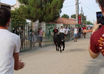 Babilafuente reúne a los aficionados taurinos de la comarca en un encierro urbano con gran animación en las calles del recorrido