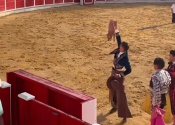 Peñaranda en Común denuncia una situación de maltrato animal por la suelta de un cerdo en la novillada del Jueves de Ferias