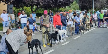 El Domingo de Ferias de Peñaranda en imágenes: del concurso del galgo español a la discoteca móvil para los más «peques»