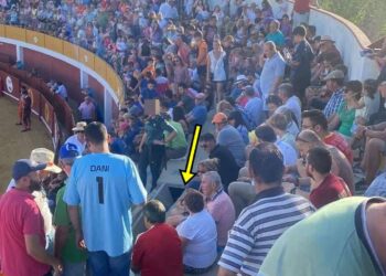 Susto en Macotera al venirse abajo una losa en una de las gradas de la plaza de toros durante el festejo de rejones