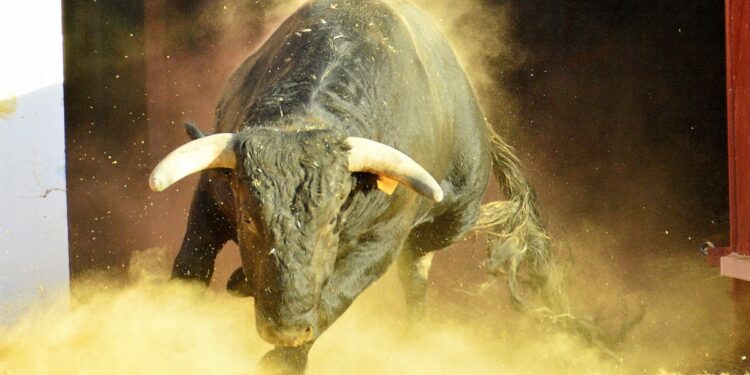 Braulio Hernández Martínez gana la VIII edición del concurso de fotografía taurina de Macotera por su imagen «Arrasando»