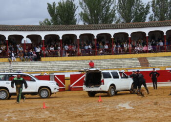 Peñaranda despide a la Guardia Real tras una visita histórica a la localidad con un respaldo masivo de la ciudadanía