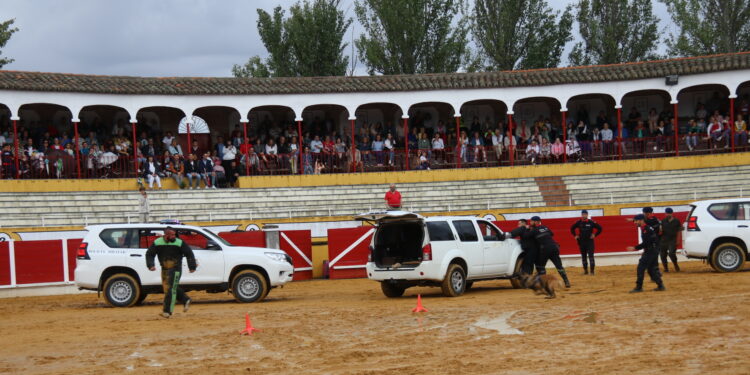 Peñaranda despide a la Guardia Real tras una visita histórica a la localidad con un respaldo masivo de la ciudadanía