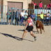 Tarazona de la Guareña disfruta del primer festejo taurino de sus fiestas con un concurrido encierro urbano y suelta de vaquillas