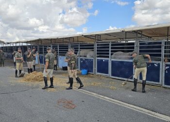 Desembarco de la Guardia Real en Peñaranda: todo preparado para las actividades que empezarán mañana en la comarca