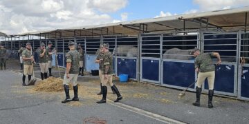 Desembarco de la Guardia Real en Peñaranda: todo preparado para las actividades que empezarán mañana en la comarca