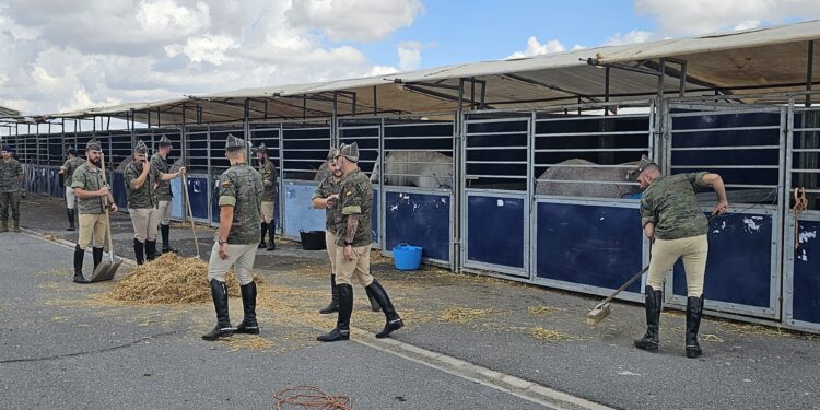 Desembarco de la Guardia Real en Peñaranda: todo preparado para las actividades que empezarán mañana en la comarca