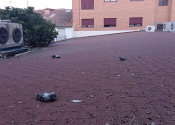 Vuelven las quejas por la proliferación de palomas en Peñaranda esta vez en el entorno de la iglesia parroquial de San Miguel