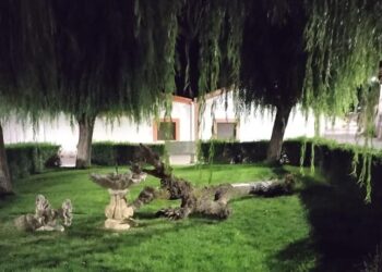La caída de un árbol en Villar de Gallimazo provoca graves destrozos en la fuente ubicada en el parque de la plaza Mayor