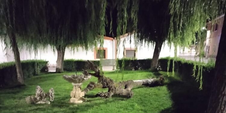 La caída de un árbol en Villar de Gallimazo provoca graves destrozos en la fuente ubicada en el parque de la plaza Mayor