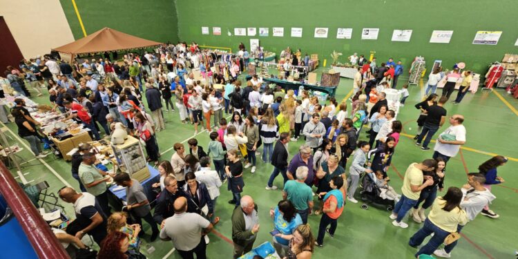 Villoria logra un rotundo éxito de público en la I edición del Mercado Villa Áurea como antesala a las fiestas de la Vega