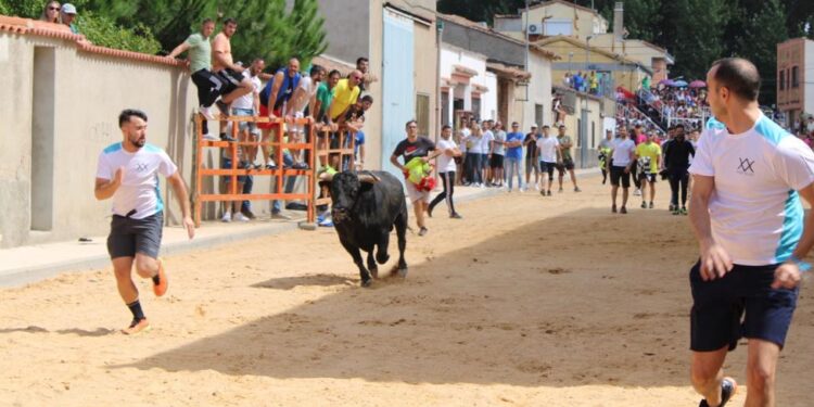 Villoria siente de nuevo la emoción y el riesgo en su último encierro de las fiestas patronales en honor de la Virgen de la Vega