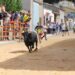 Villoria siente de nuevo la emoción y el riesgo en su último encierro de las fiestas patronales en honor de la Virgen de la Vega