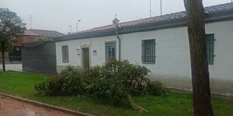 La borrasca Aline deja sus primeras huellas en Peñaranda con caída de ramas de árboles e intensas precipitaciones