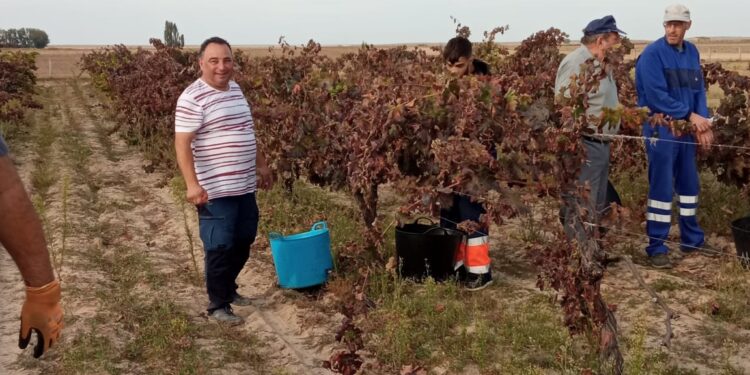 Santiago de la Puebla disfruta un año más de la vendimia tradicional rematada con un aperitivo para reponer fuerzas