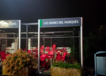 Los pasajeros del tren de media distancia a Madrid parados en Las Navas del Marqués por una incidencia tras la caída de un árbol