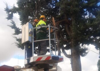 Los Bomberos de Peñaranda intervienen en el parque La Huerta para retirar una rama desprendida junto a la zona de juegos