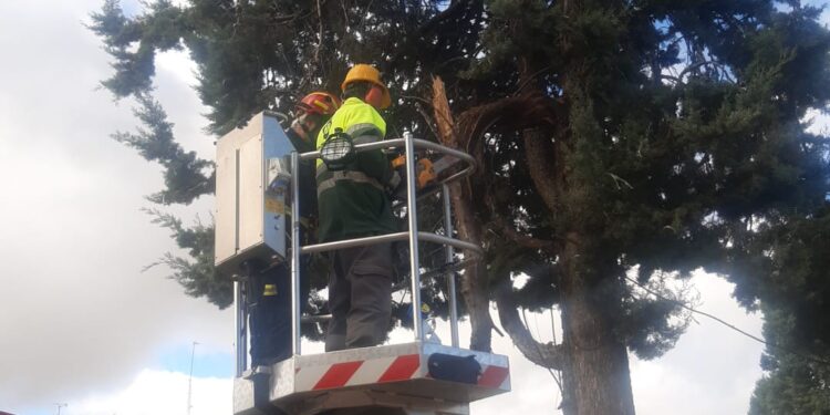 Los Bomberos de Peñaranda intervienen en el parque La Huerta para retirar una rama desprendida junto a la zona de juegos