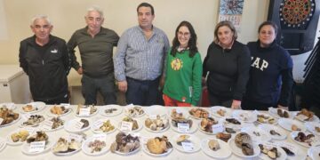 Fructífera mañana micológica en Cantaracillo con salida al campo y recogida y clasificación de más de 50 variedades de setas