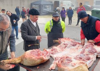 Villaflores celebra hoy su matanza típica con gran animación en la calle, degustaciones populares y sorteo de las piezas del cerdo