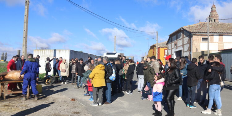 Palaciosrubios disfruta en la calle de la matanza tradicional con éxito de público y varias degustaciones como «plato fuerte»