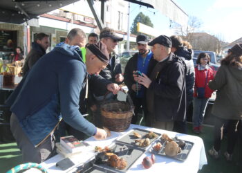 La IV Quedada Micológica «Ciudad de Peñaranda» finaliza con una suculenta degustación en Los Álamos Laboratorio Gastronómico