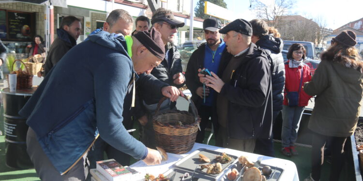 La IV Quedada Micológica «Ciudad de Peñaranda» finaliza con una suculenta degustación en Los Álamos Laboratorio Gastronómico