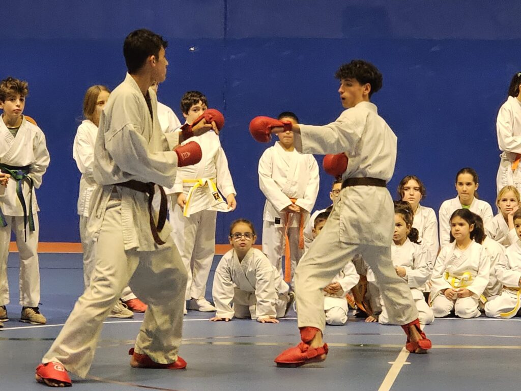 karate 6