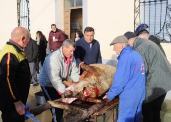 Zorita de la Frontera celebra este fin de semana sus jornadas matanceras con gran ambiente y sin faltar degustaciones típicas