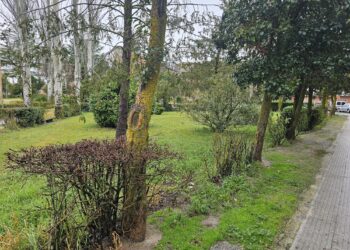 Peñaranda «reenganchará» grandes inversiones pendientes del 2023 como la reforma de los Jardines o la pista de pádel cubierta