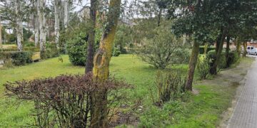 Peñaranda «reenganchará» grandes inversiones pendientes del 2023 como la reforma de los Jardines o la pista de pádel cubierta