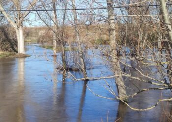 Alaraz y Santiago de la Puebla con el «alma en vilo» por las lluvias y desbordamiento de arroyos y ríos como el Gamo y el Margañán