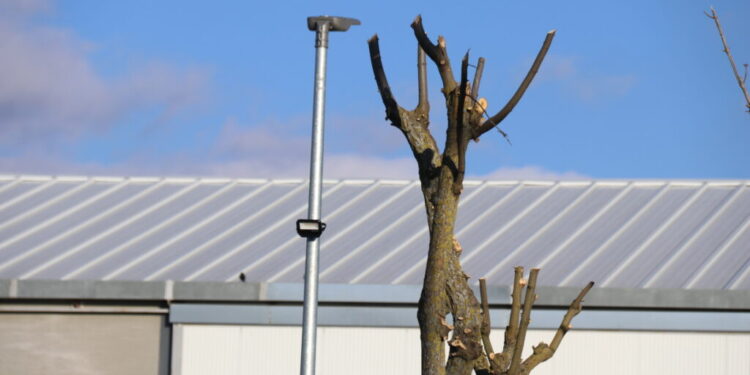 El Campo de Peñaranda sufre un robo de 300 metros de cable de cobre en el alumbrado público de la travesía Charco Lozano