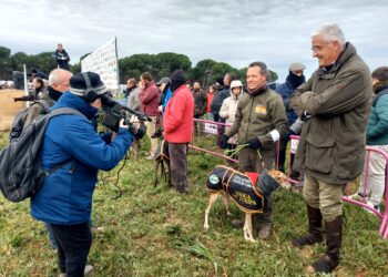 Causas meteorológicas obligan a suspender la eliminatoria de cuartos en el Campeonato Nacional de Galgos de Nava del Rey