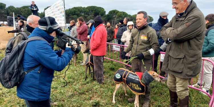 Causas meteorológicas obligan a suspender la eliminatoria de cuartos en el Campeonato Nacional de Galgos de Nava del Rey