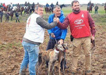 Causas meteorológicas obligan a suspender la eliminatoria de cuartos en el Campeonato Nacional de Galgos de Nava del Rey