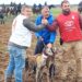 Causas meteorológicas obligan a suspender la eliminatoria de cuartos en el Campeonato Nacional de Galgos de Nava del Rey