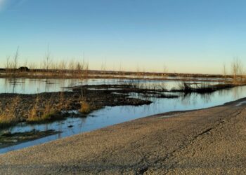 El desbordamiento del Tormes obliga a interrumpir el tráfico en la carretera que comunica Huerta con Santa Marta de Tormes