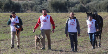 Arranca el LXXXVI Campeonato de España de Galgos en Campo que traerá los cuartos, semifinales y final a Nava del Rey