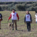 Arranca el LXXXVI Campeonato de España de Galgos en Campo que traerá los cuartos, semifinales y final a Nava del Rey