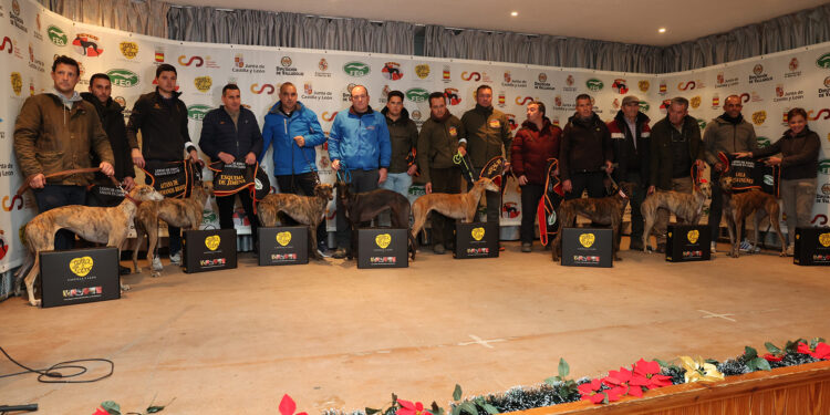 Arranca el LXXXVI Campeonato de España de Galgos en Campo que traerá los cuartos, semifinales y final a Nava del Rey