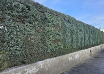 El letrero «low cost» que estrena Peñaranda para dar la bienvenida junto a la estación de autobuses y frente al centro de salud