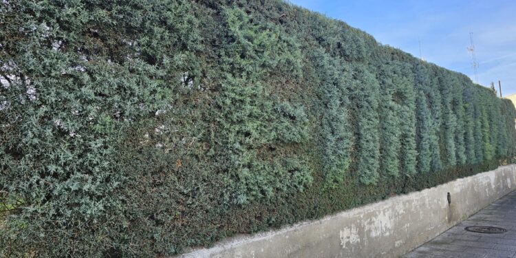 El letrero «low cost» que estrena Peñaranda para dar la bienvenida junto a la estación de autobuses y frente al centro de salud