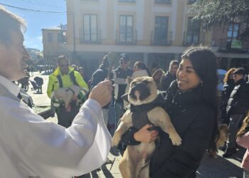 Perros, un gato y una tortuga se convierten en protagonistas de la bendición anual de San Antón celebrada en Peñaranda